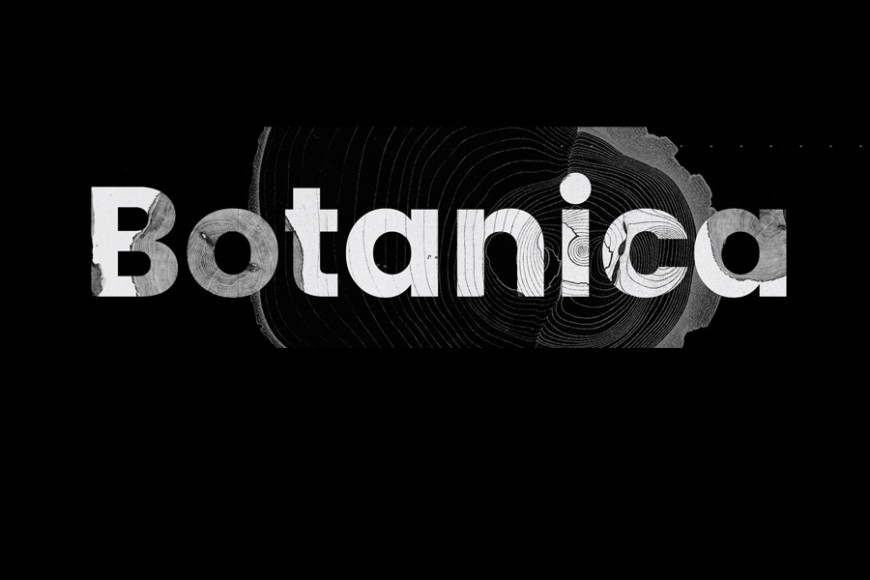 BOTANICA PLANTS IN MUSIC