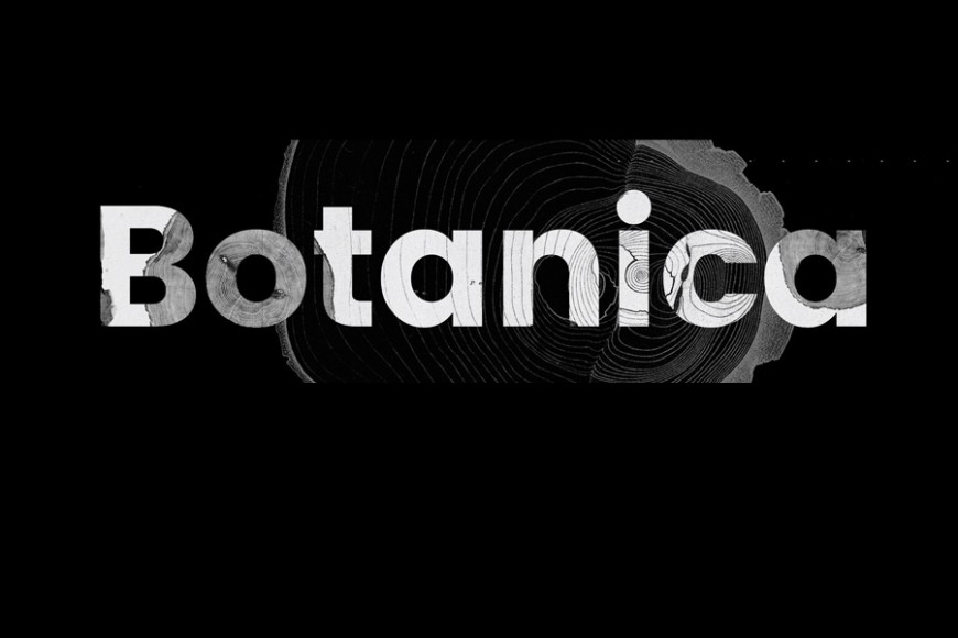 BOTANICA PIANTE IN MUSICA