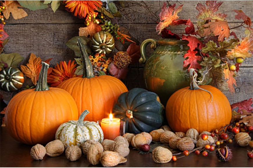 YOUR PUMPKIN: CARVING, KITCHEN, SOWING!
