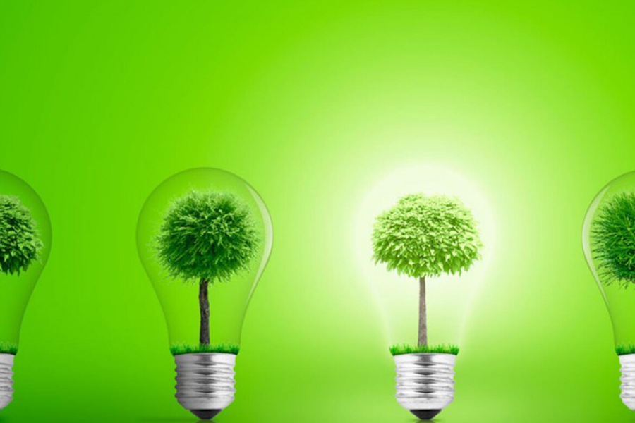 ENERGÍA DE LAS PLANTAS, ¿ES POSIBLE?