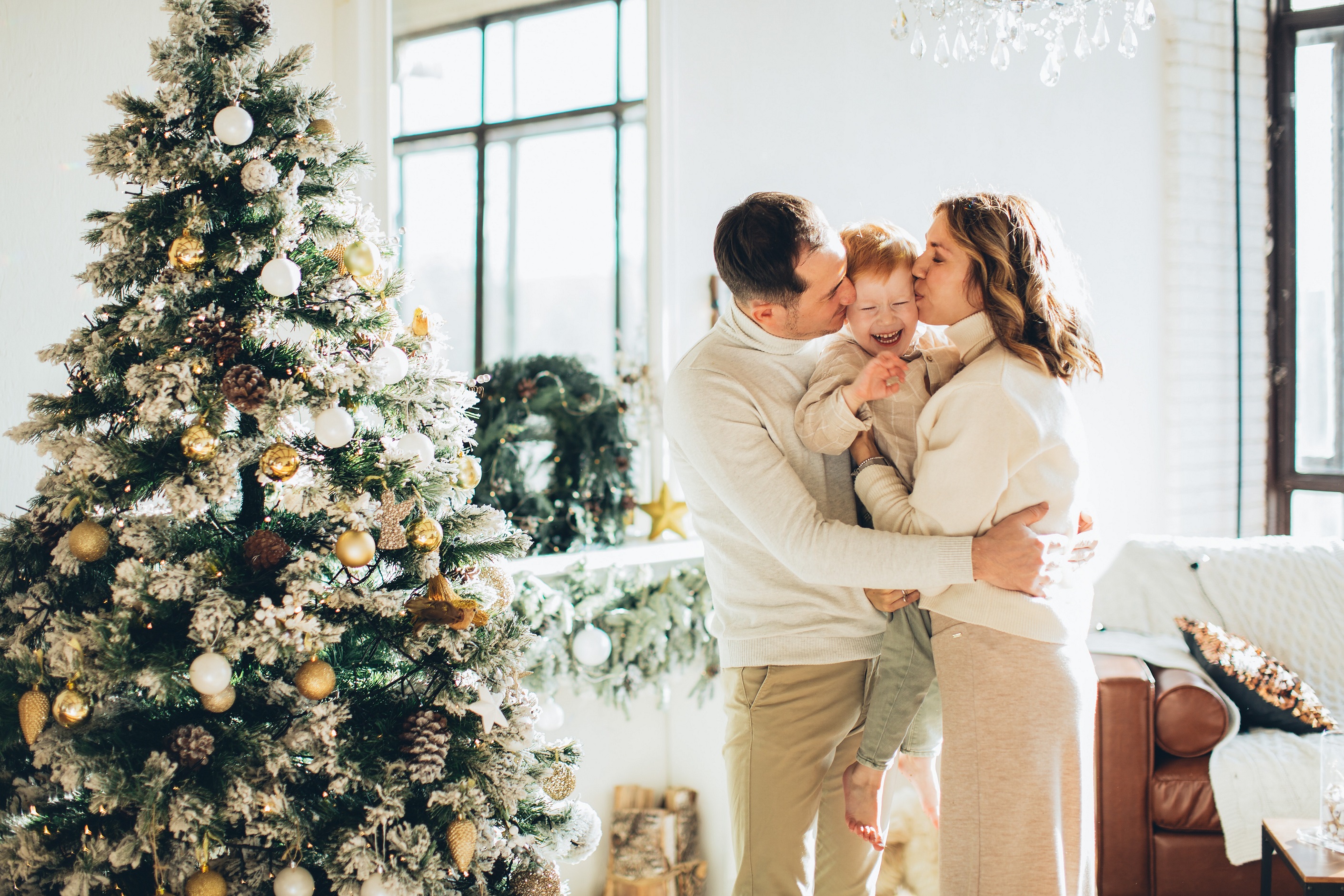 ¿QUÉ ÁRBOL DE NAVIDAD ELEGIR?