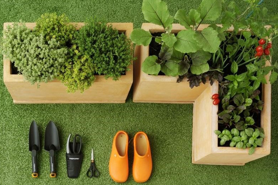 ¿JARDÍN EN CASA? AQUÍ ESTÁN LAS PLANTAS AMIGAS