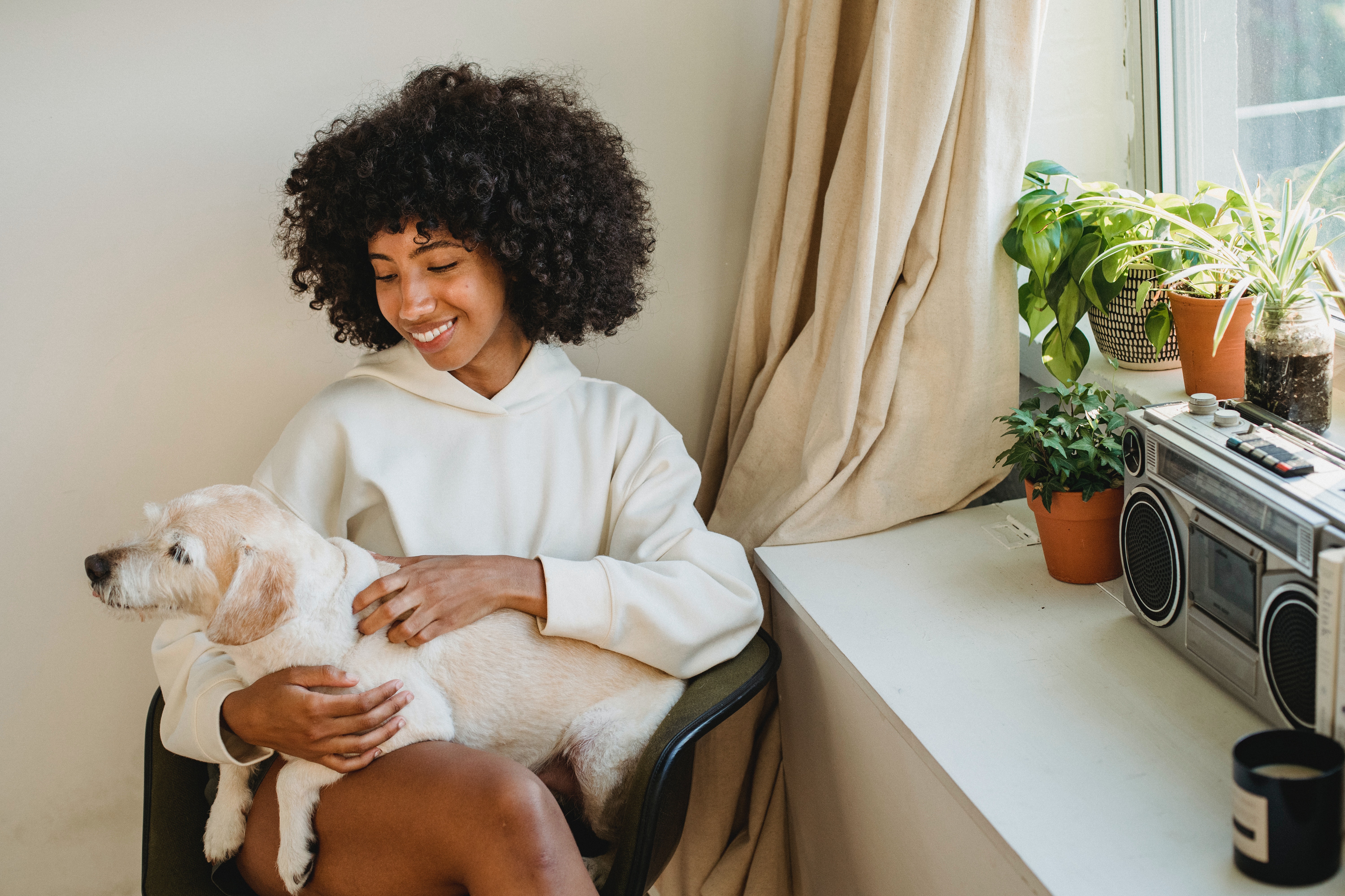 PET-FRIENDLY PLANTS BETTER ALSO AS A GIFT