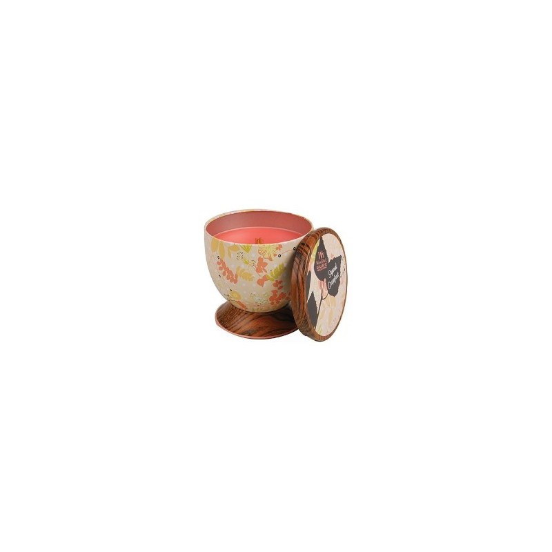 CANDELA GALLERIE TIN... CANDELA GALLERIE TIN...