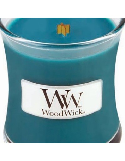 Woodwick mini havana nattljus