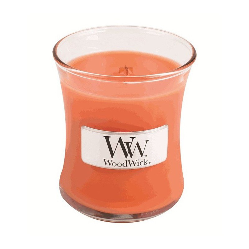 Woodwick vela mini sueño sueño soñar despierto