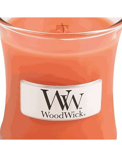 Woodwick mini Dreamsicle świeca na jawie