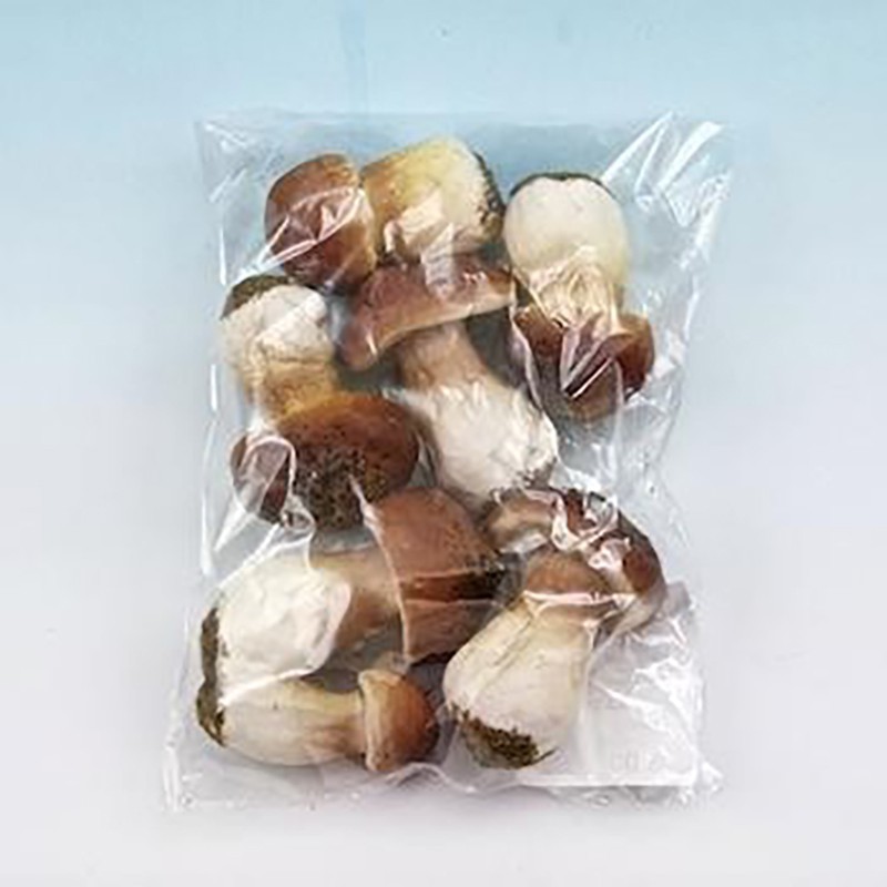 Decorative porcini mushrooms Decorative porcini mushrooms