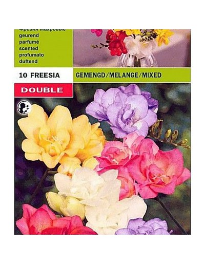 Freesia doble mezcla 10 bombillas