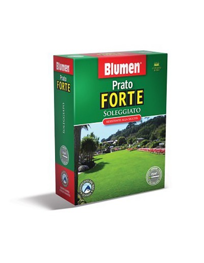 ZONNIG GAZON 500 gr