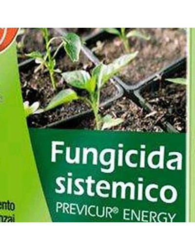 Bayer previcur energie systemisch fungicide