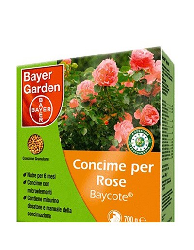Rosas de fertilizante granular da Bayer baycote