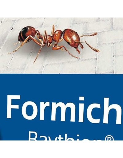 BAYTHION FORMICHE POLVERE 1 kg