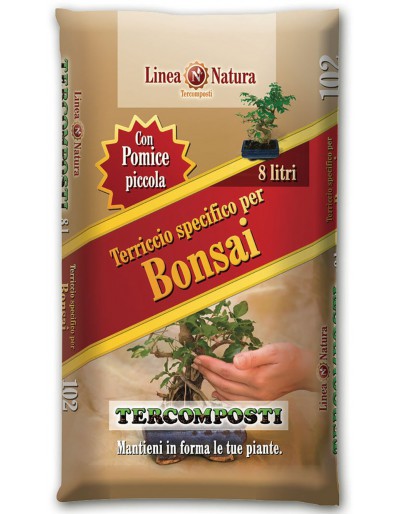 BONSAI BODEN 8