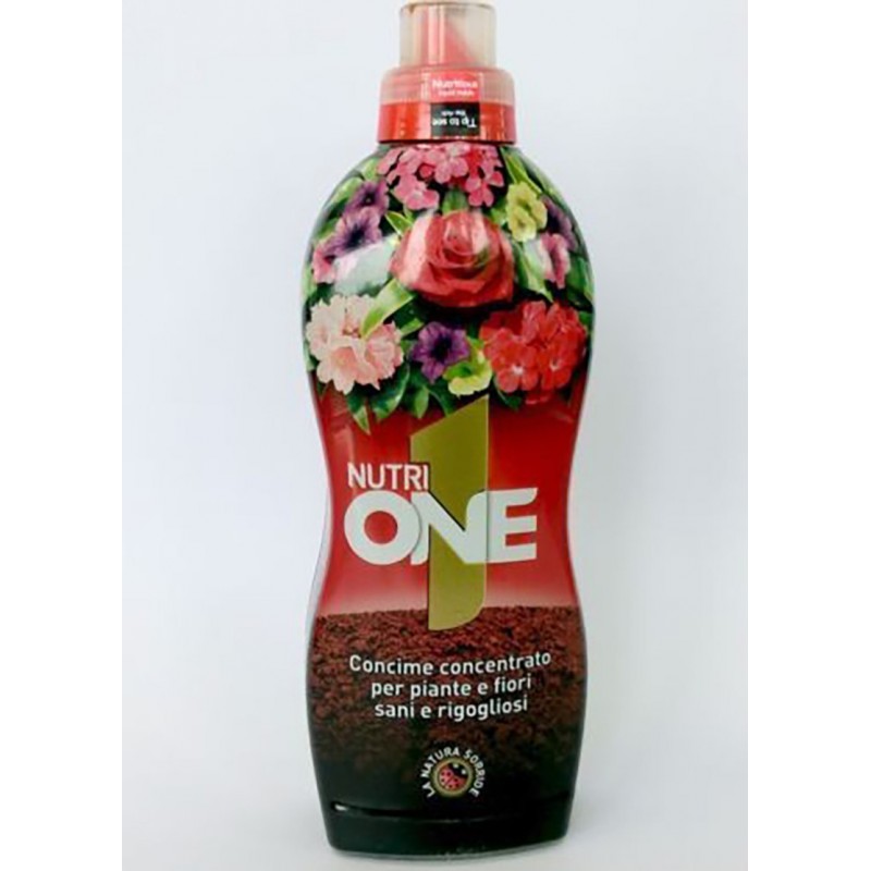 ODŻYWIANIE 24X0 ODŻYWIANIE 24X0