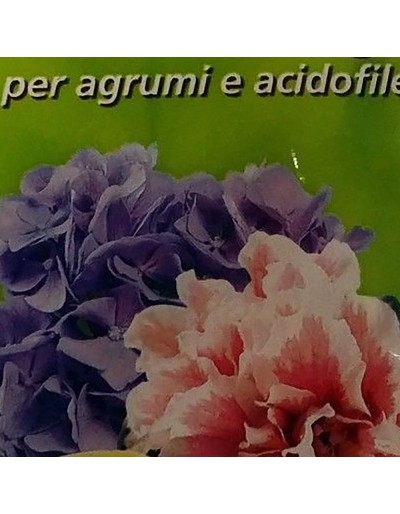 NUTRILIFE LUPINI BIO 1 kg se traduce como "NUTRILIFE LUPINI BIO 1 kg" en español.