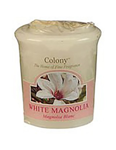 Magnolia blanc de bougie de colonie