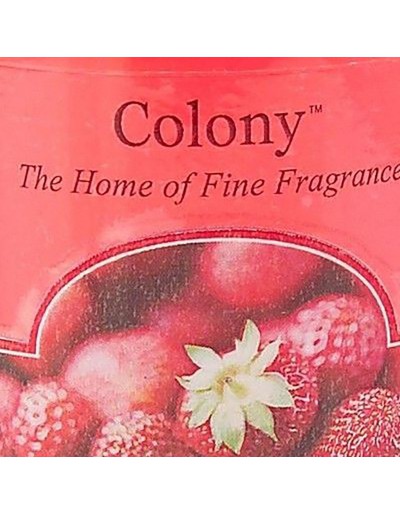 Colony charging speaker strawberry blush
