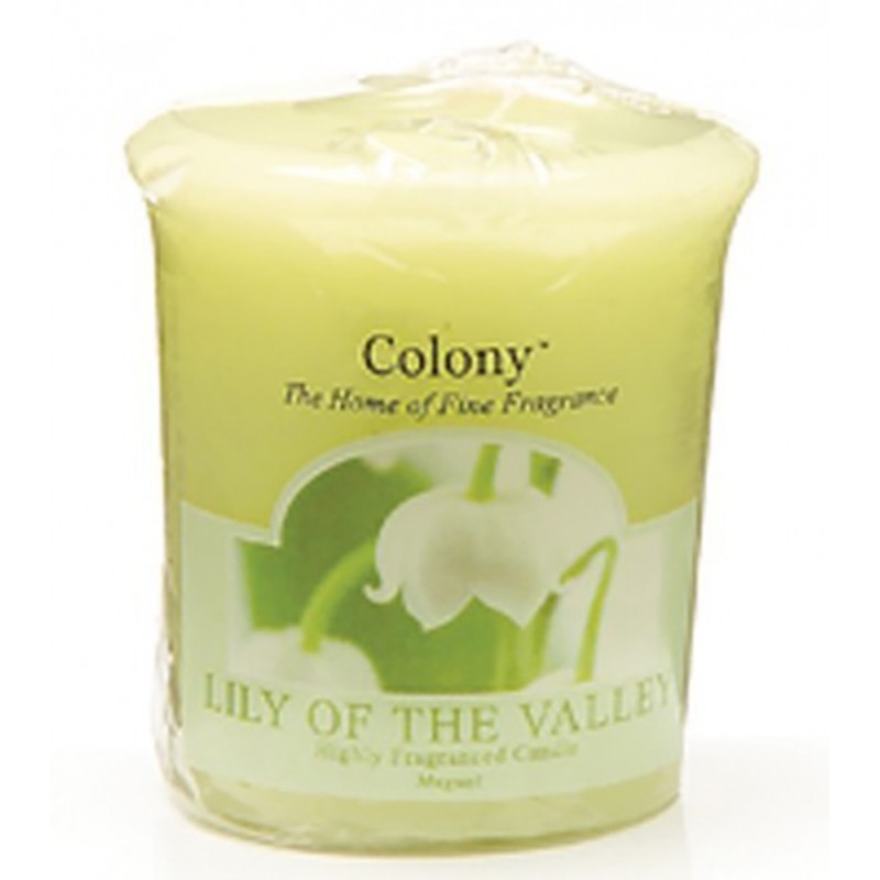 Colony candle lily of the valley