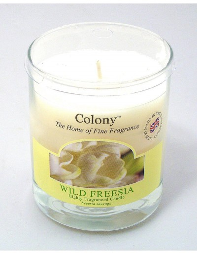 Colony candela wild freesia