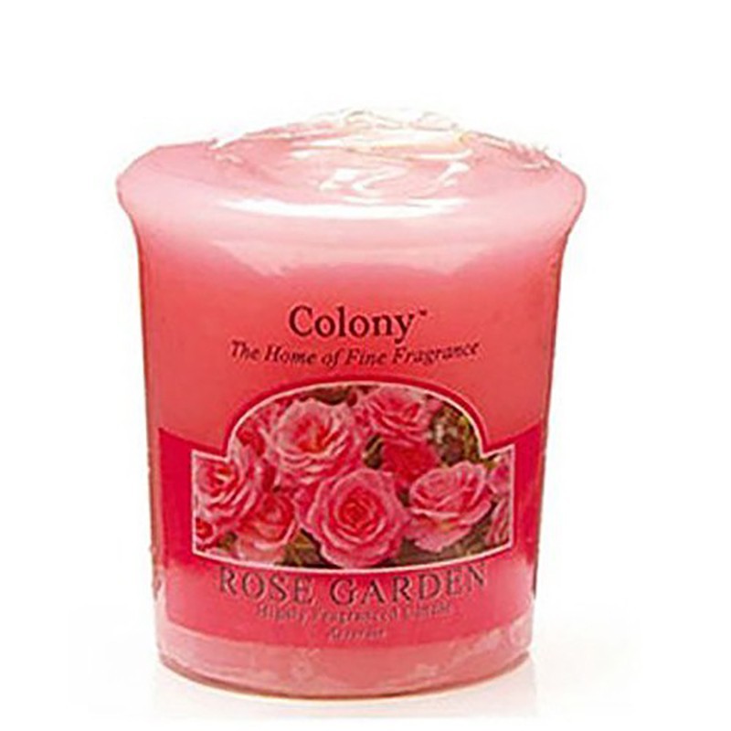 Colony candela garden rose