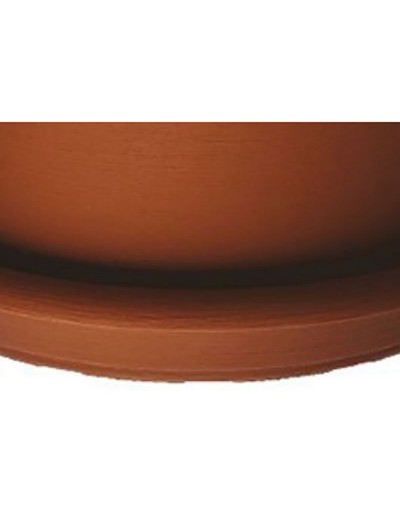 SUBVASO DECOR HIGH ON TERRACOTTA WALL