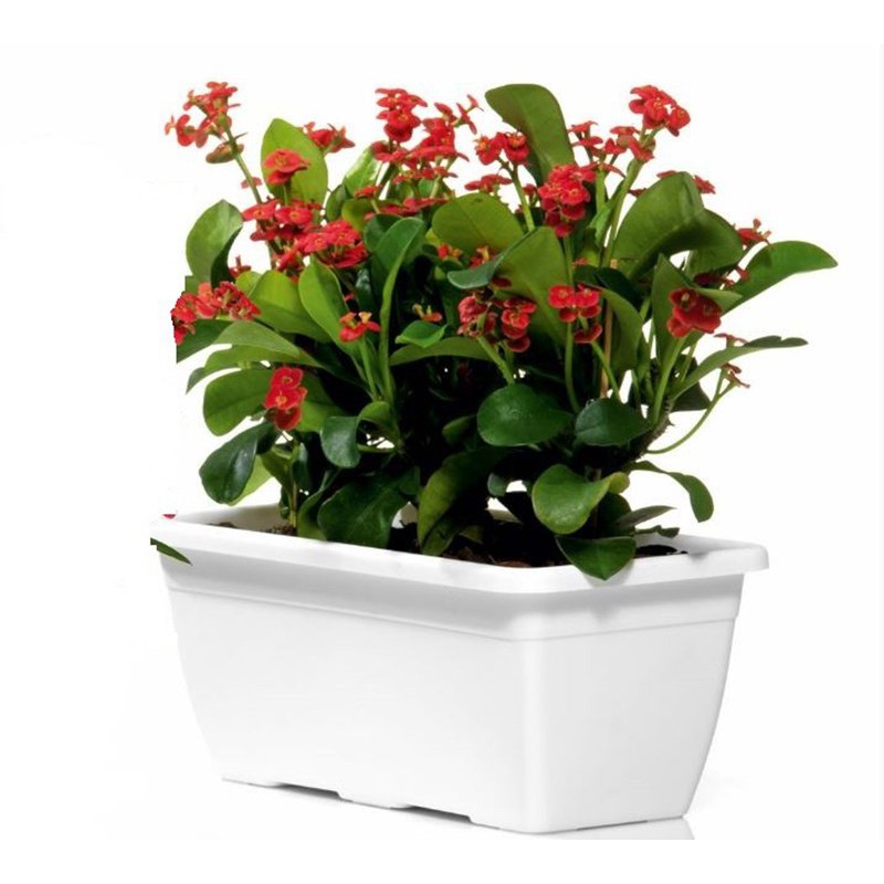 PUDEŁKO NAXOS 40 CM BIAŁA PUDEŁKO NAXOS 40 CM BIAŁA