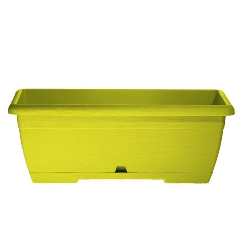 OASI MINI CASSETTA 25 cm LIME con undercassetta