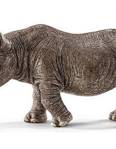 Rysunek nosorożca. Malowane ręcznie