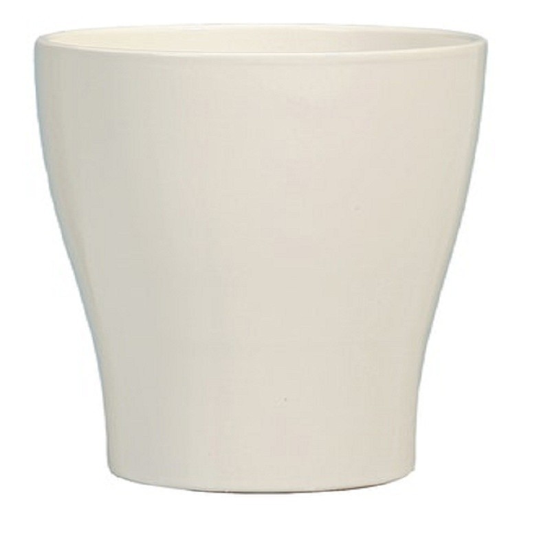 608 17 ORCHIDPOT CREMA BRILLANTE