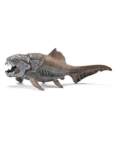 DUNKLEOSTEUS