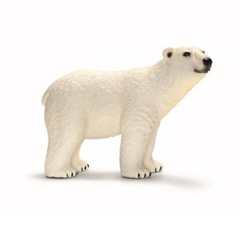 Eisbär