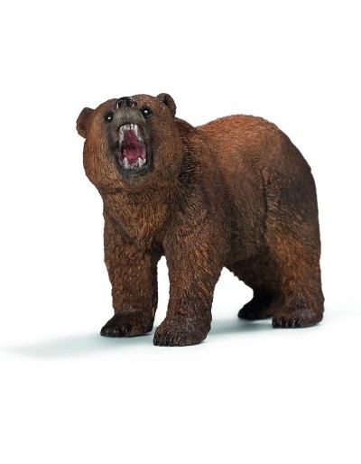 Grizzlybär