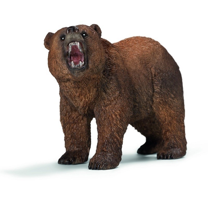 ORSO GRIZZLY