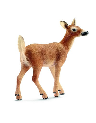 VIRGINIANO DEER FEmmINA