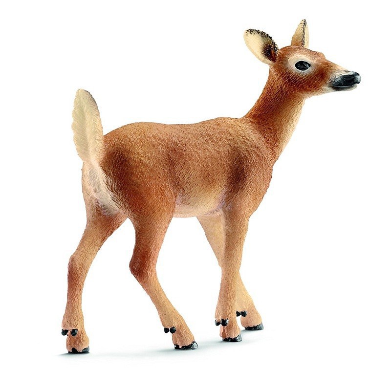VIRGINIANO DEER FEmmINA VIRGINIANO DEER FEmmINA