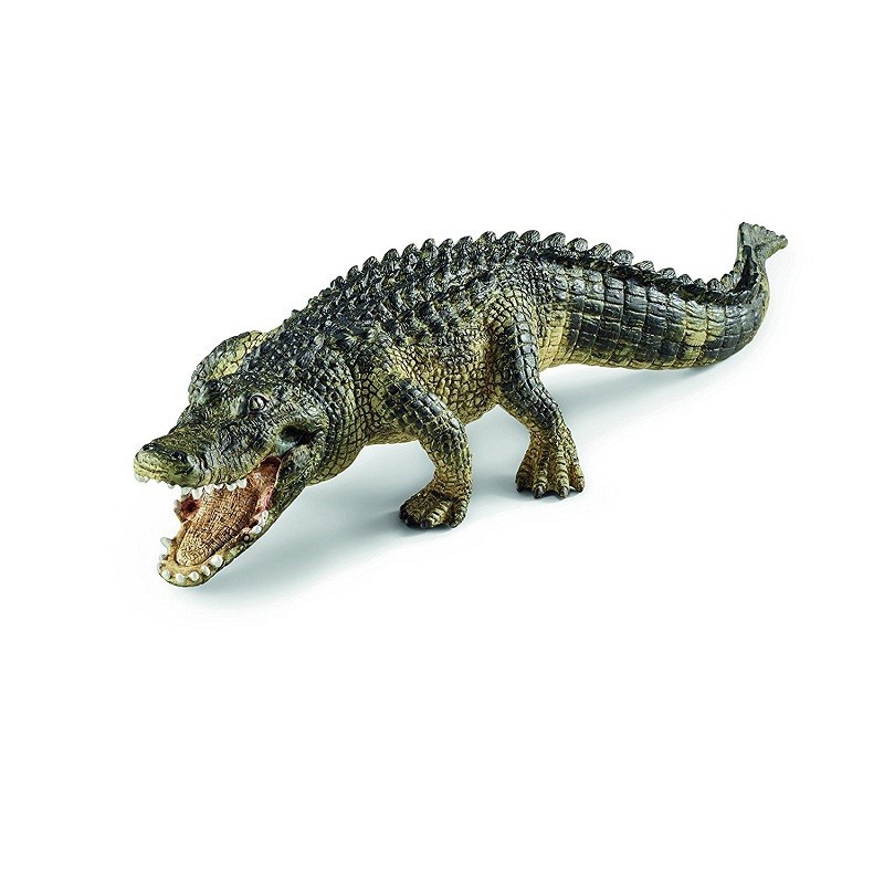 ALIGATOR ALIGATOR