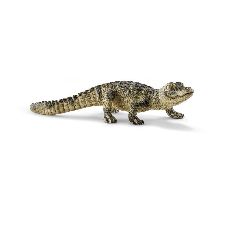 ALLIGATOR PUPPY