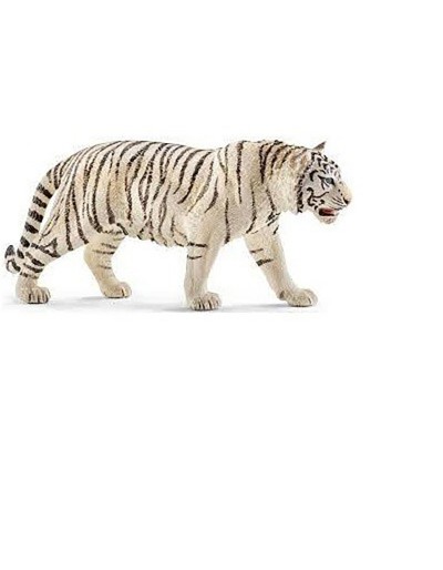 TIGRE BLANCO