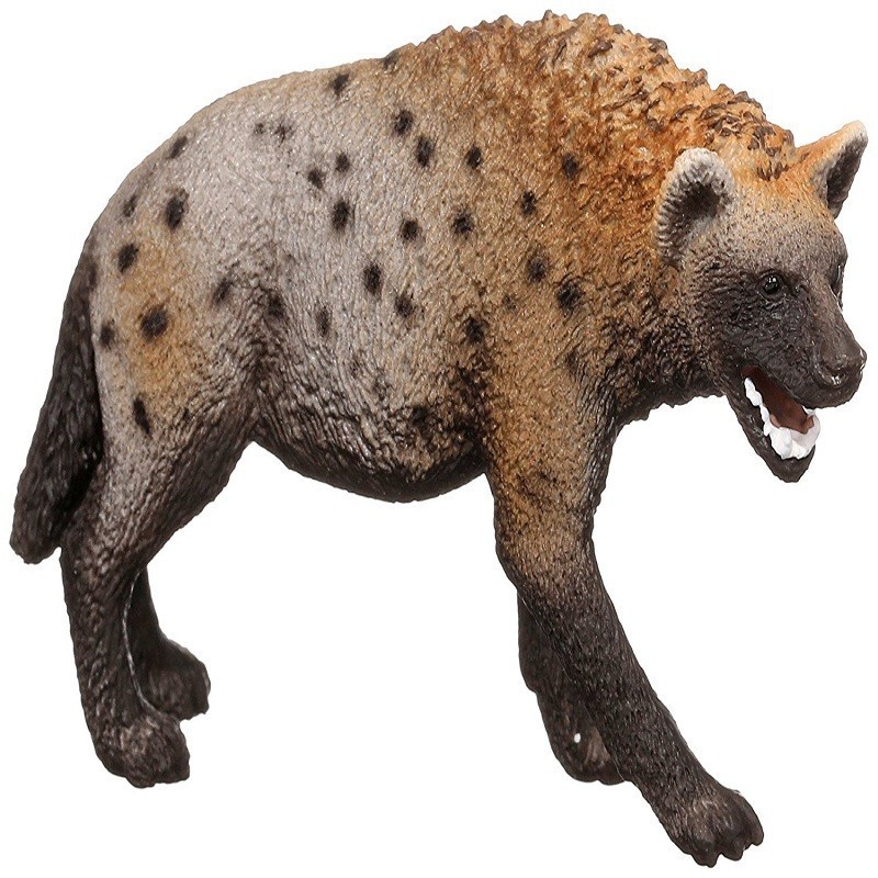 Hyena