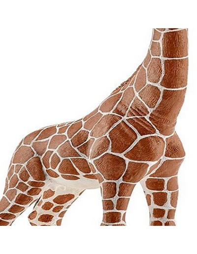 Giraffe FEmmINA