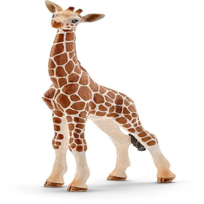 CUCCIOLO DI GIRAFFA