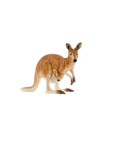 Kangaroo