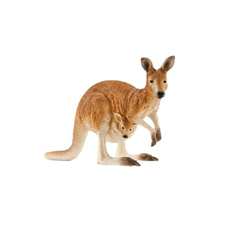 CANGURO CANGURO