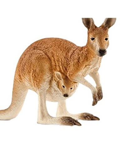 Kangaroo