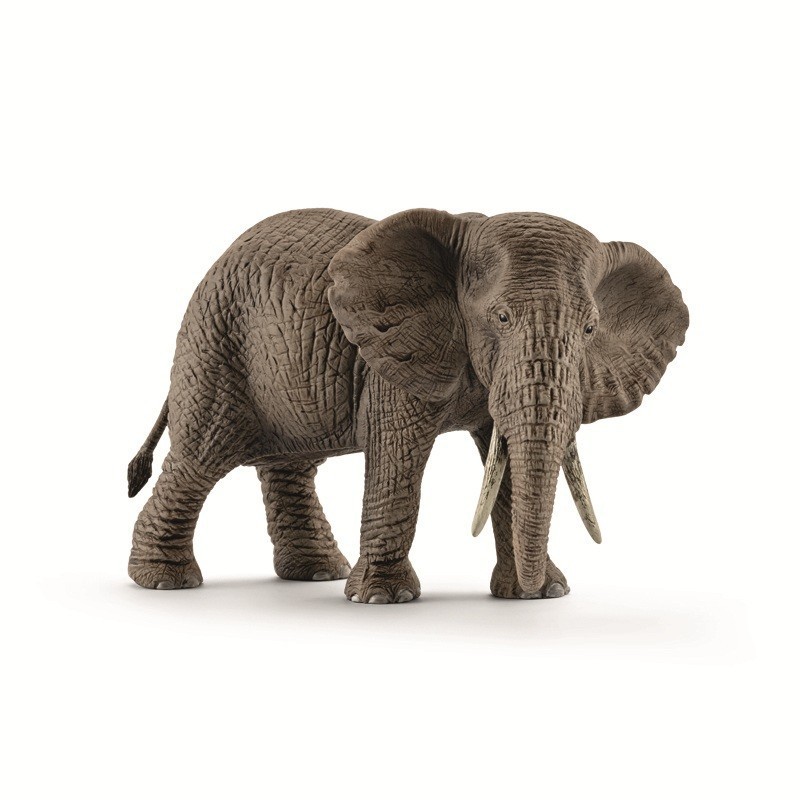 FEmmINA DI ELEFANTE AFRICANO FEmmINA DI ELEFANTE AFRICANO