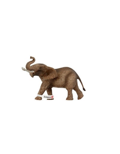 ELEFANTE AFRICANO MASCULINO