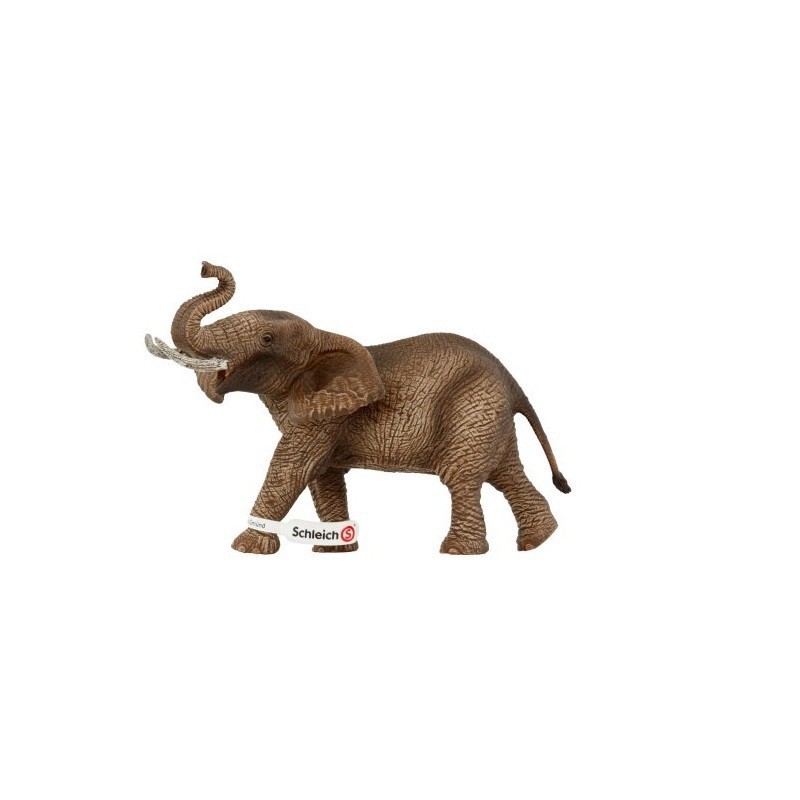 MANNELIJKE AFRIKAANSE OLIFANT MANNELIJKE AFRIKAANSE OLIFANT