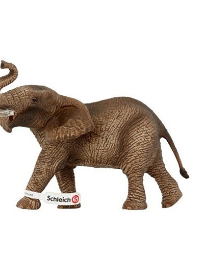 MANNELIJKE AFRIKAANSE OLIFANT