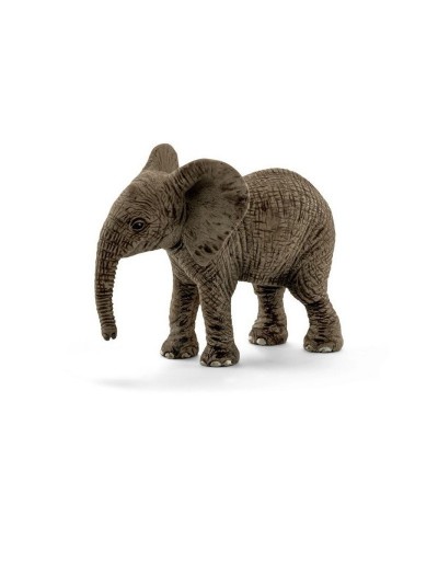 AFRICAN ELEPHANT CUB